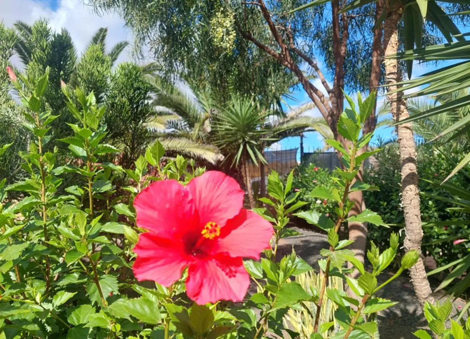 Home By Sea You There Fuerteventura Corralejo Apartment